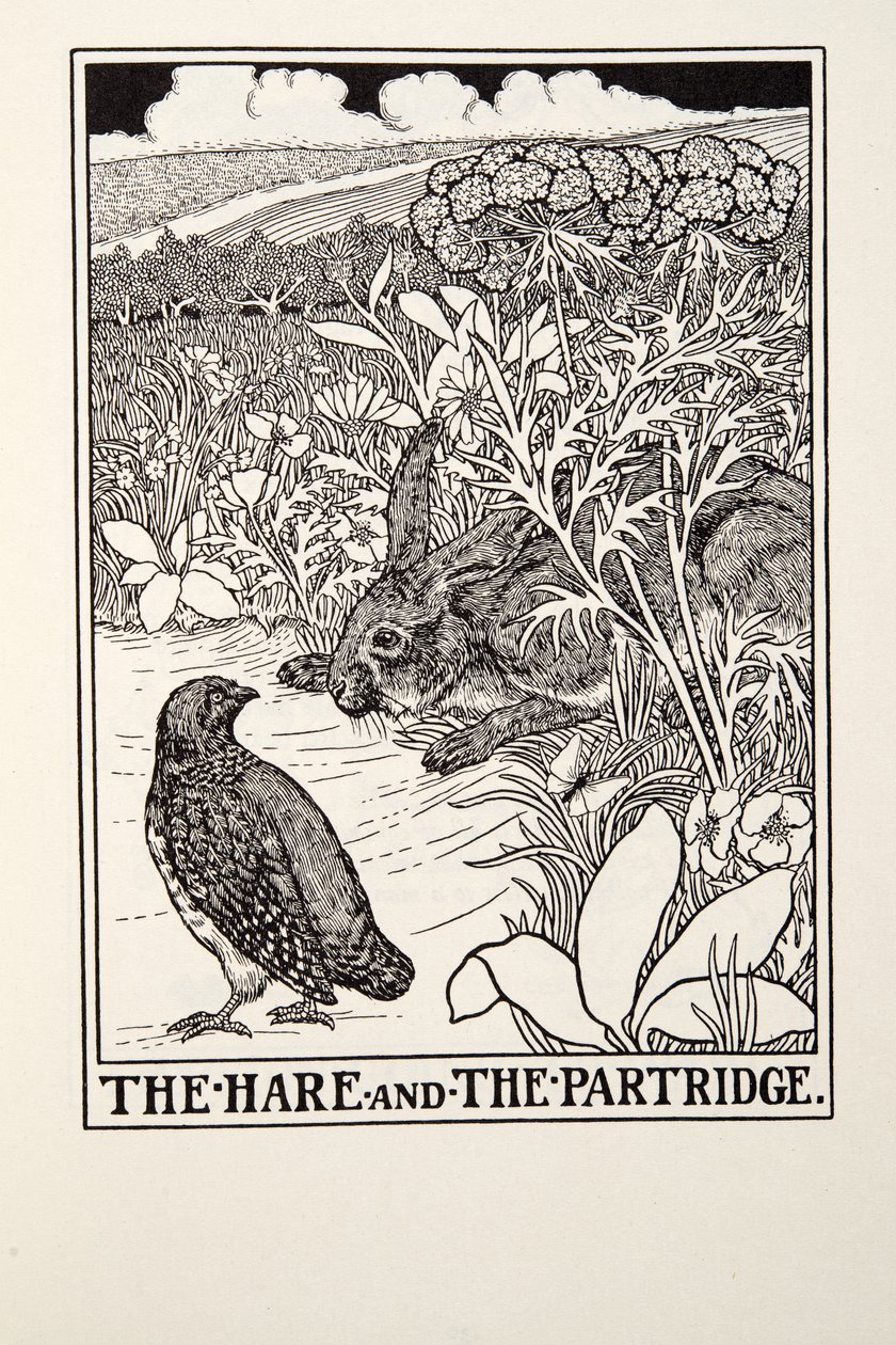La lepre e la pernice, dalle Favole di Fontaine, pub. 1905 da Percy J. Billingshurst