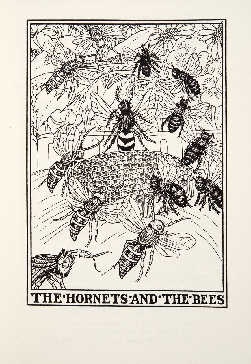I calabroni e le api, da Favole di Fontaine, pub. 1905 (incisione) da Percy J. Billingshurst