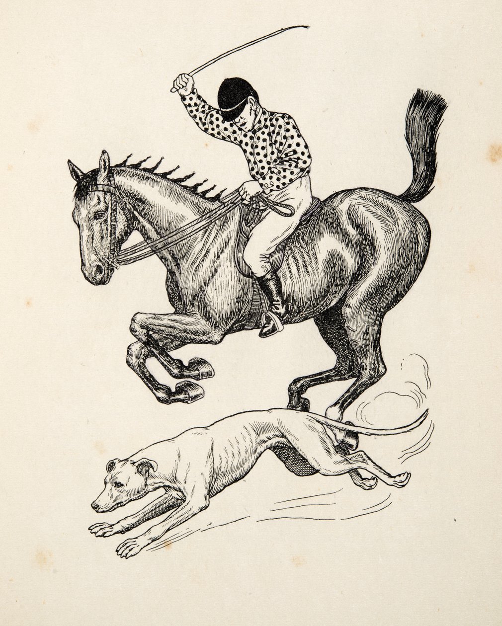 Il cavallo e il levriero, da Cento aneddoti di animali, pub. 1924 da Percy J. Billingshurst