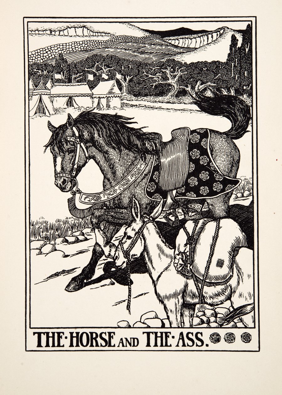 Il cavallo e l