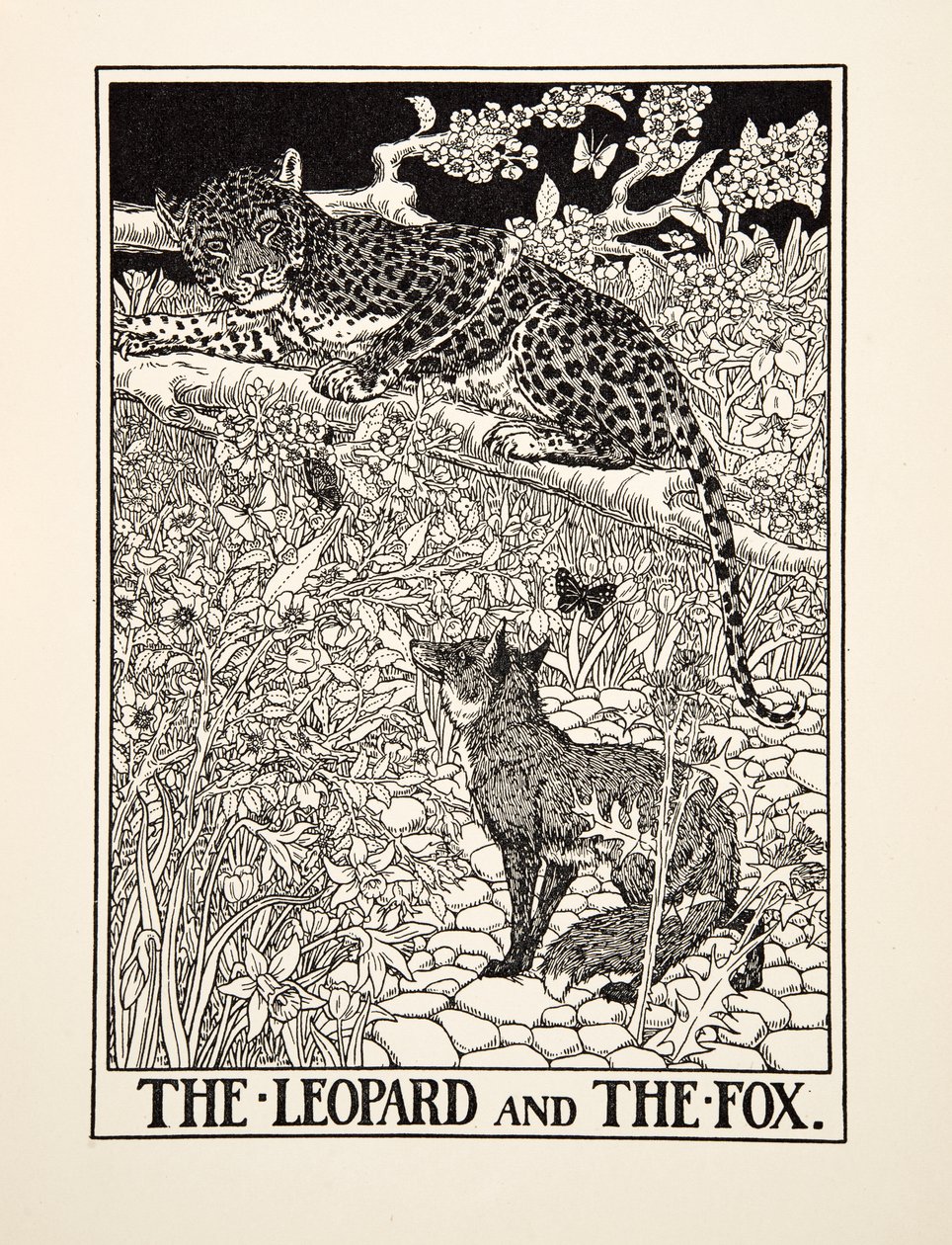 Il Leopardo e la Volpe, da Cento Favole di Esopo, pub.1903 da Percy J. Billingshurst