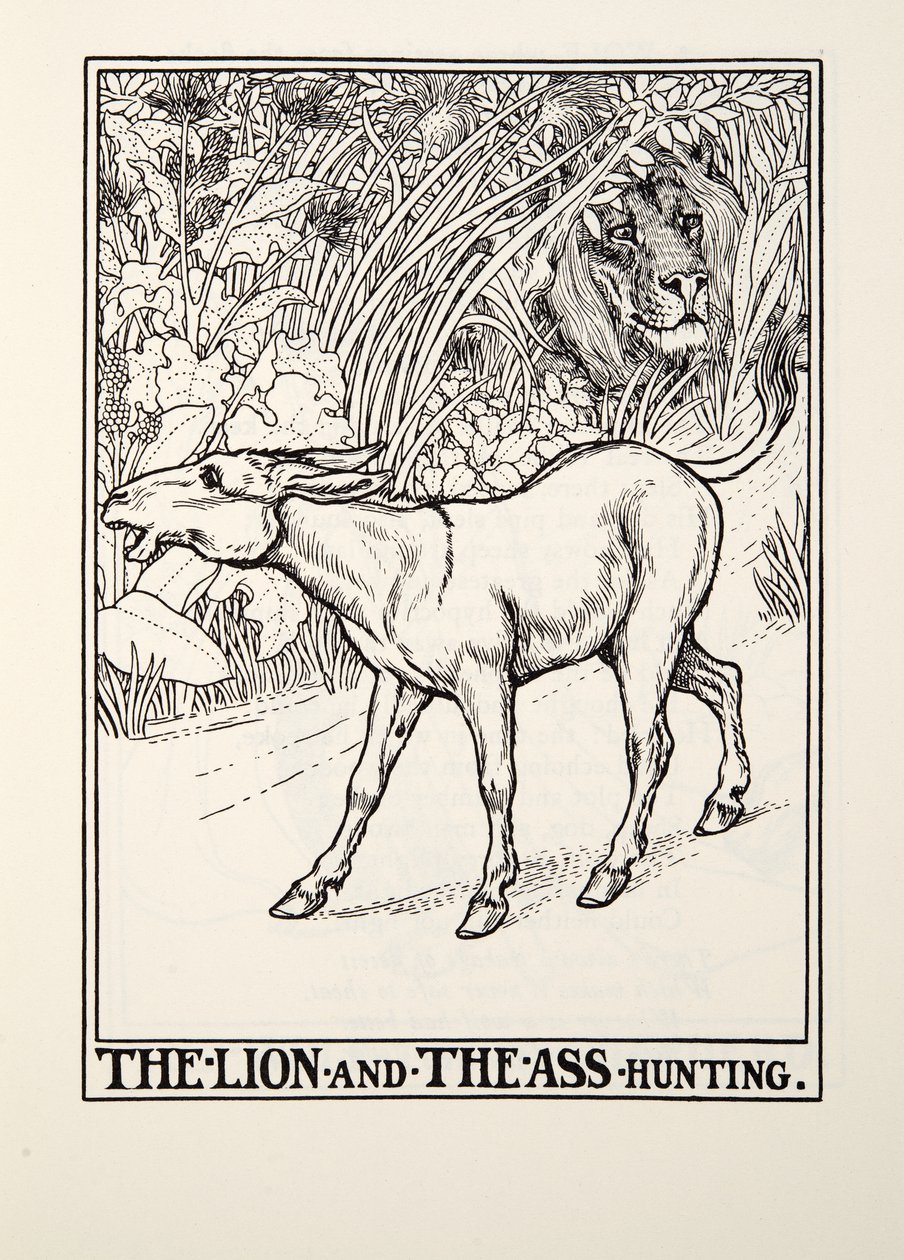 Il leone e l