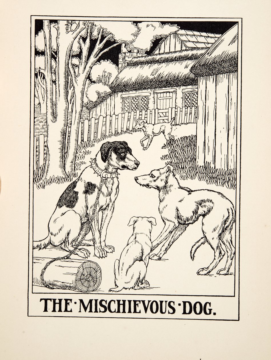 Il cane dispettoso, da Cento favole di Esopo, pub.1903 da Percy J. Billingshurst