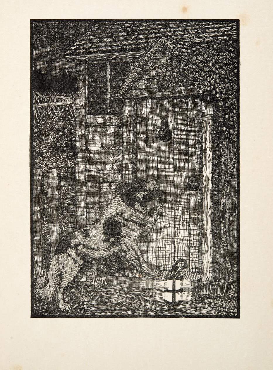 Il cane di Terranova, da A Hundred Anecdotes of Animals, pub. 1924 da Percy J. Billingshurst