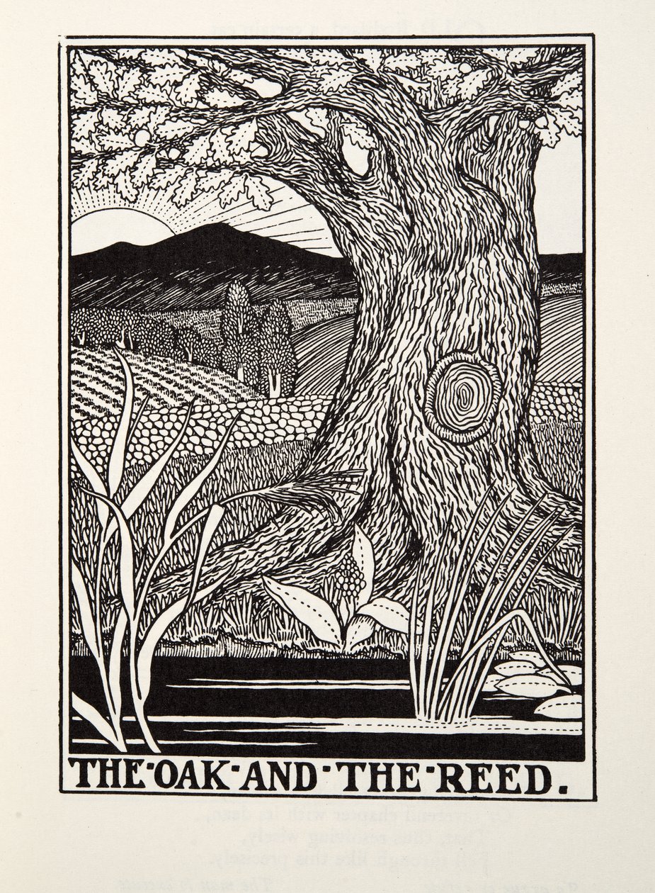 La quercia e la canna, dalle Favole di Fontaine da Percy J. Billingshurst