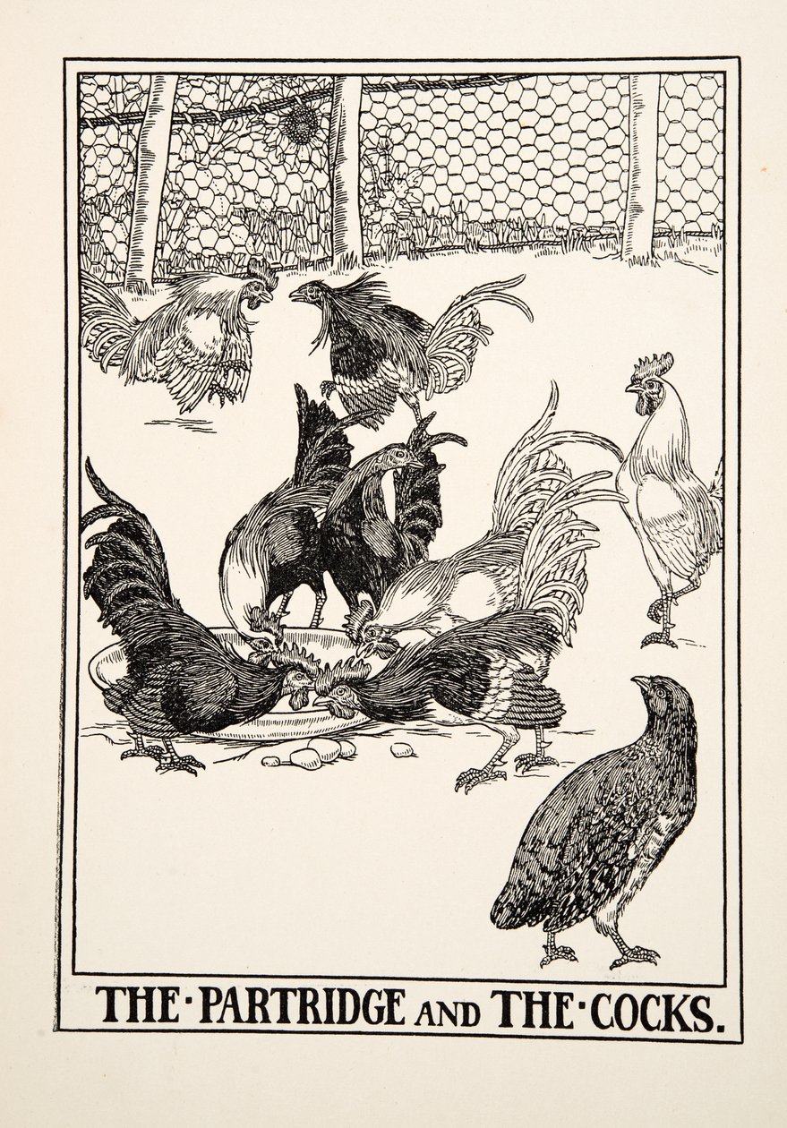 La Pernice e i Galli, da Cento Favole di Esopo, pub.1903 da Percy J. Billingshurst