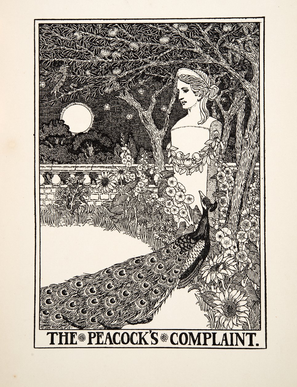 Il Lamento dei Pavoni, da Cento Favole di Esopo, pub.1903 da Percy J. Billingshurst