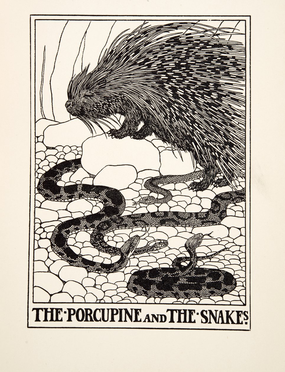 Il porcospino e i serpenti, da Cento favole di Esopo, pub.1903 da Percy J. Billingshurst