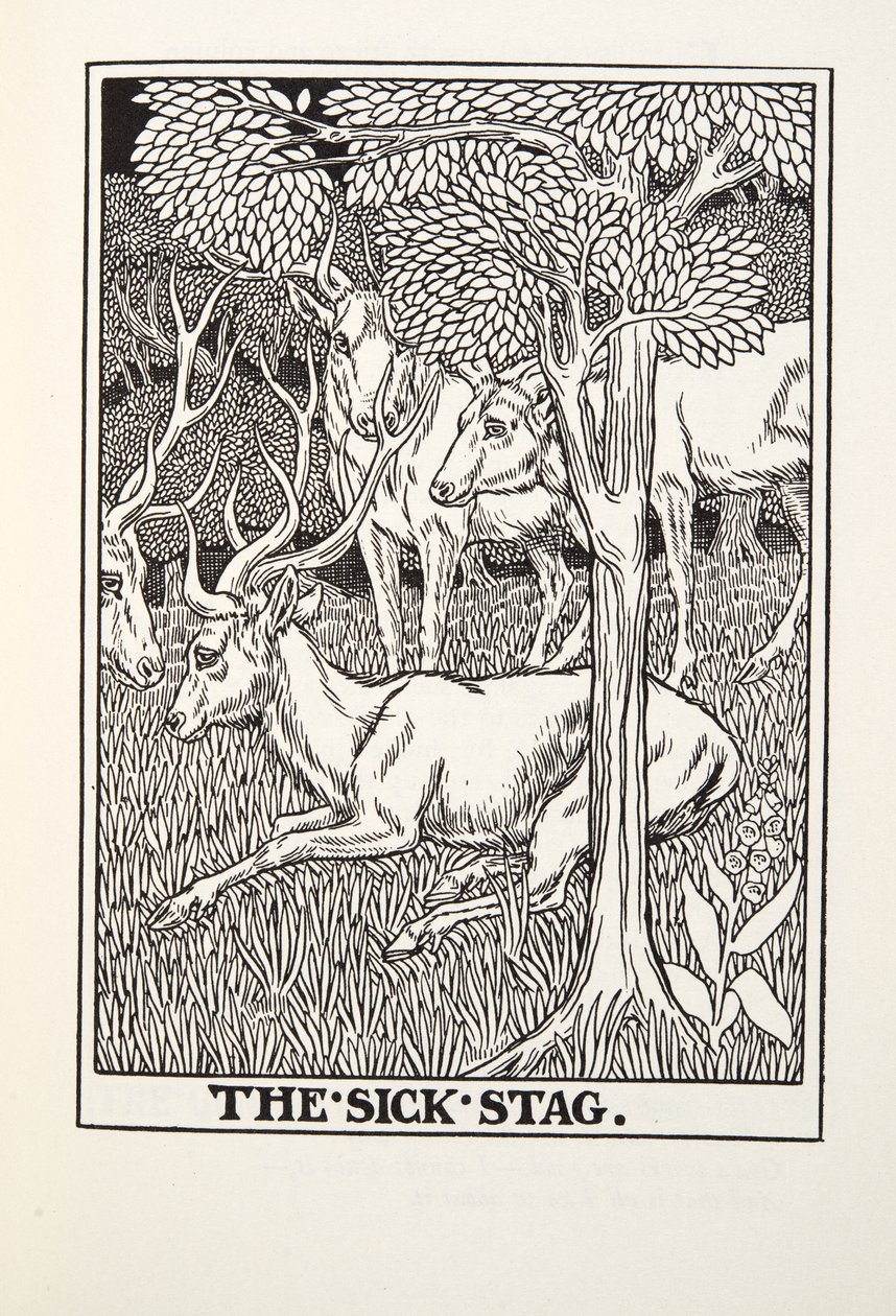 Il cervo malato, da Fontaine Fables, pub. 1905 da Percy J. Billingshurst