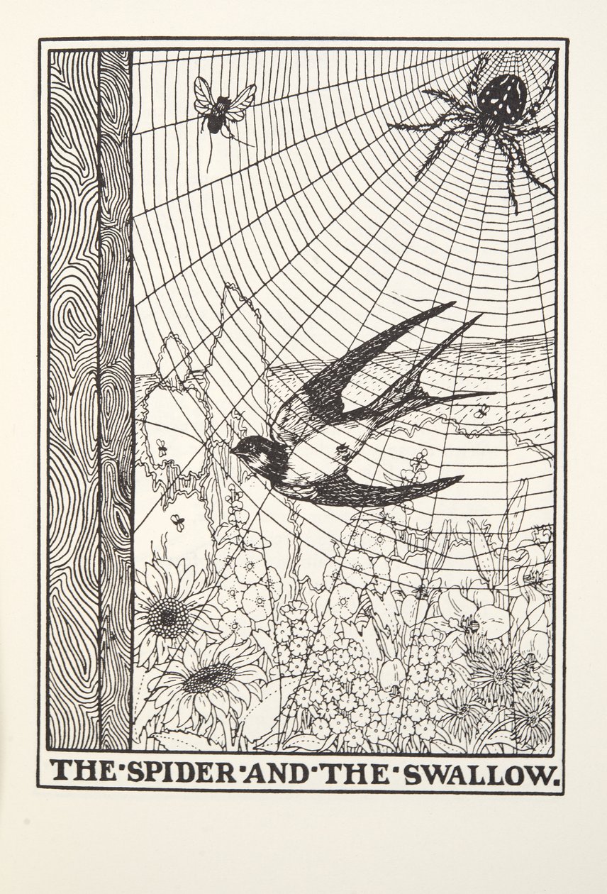 Il ragno e la rondine, da Fontaine Fables, pub. 1905 da Percy J. Billingshurst
