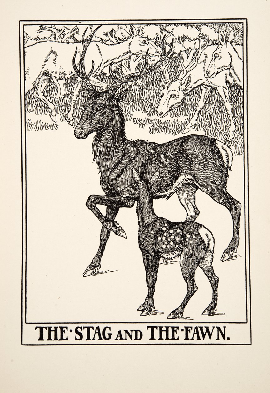 Il Cervo e il Cerbiatto, da Cento Favole di Esopo, pub.1903 da Percy J. Billingshurst