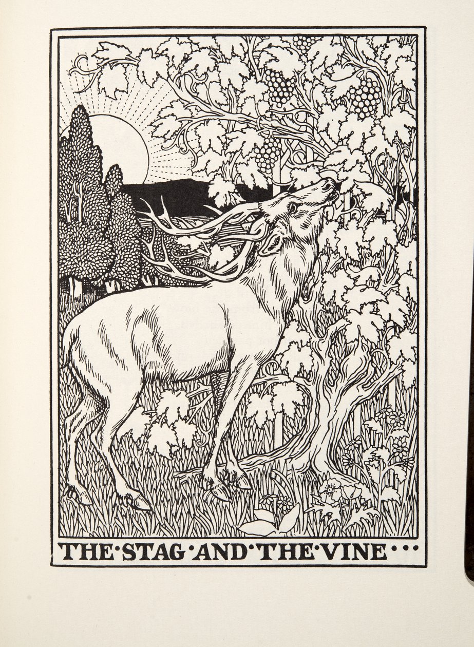 Il cervo e la vite, dalle Favole di Fontaine, pub. 1905 da Percy J. Billingshurst