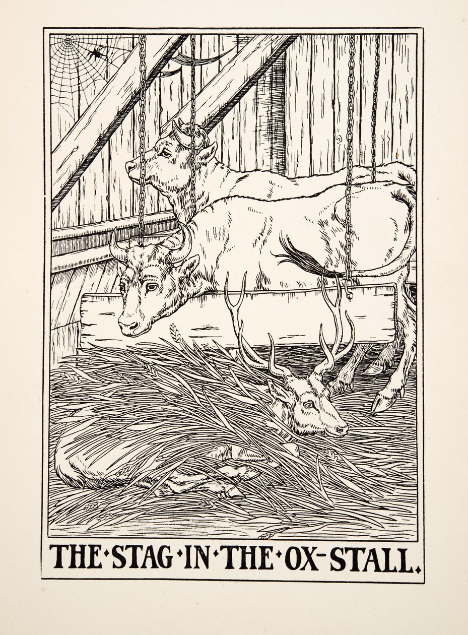 Il cervo nella stalla dei buoi, da Cento favole di Esopo, pub.1903 da Percy J. Billingshurst