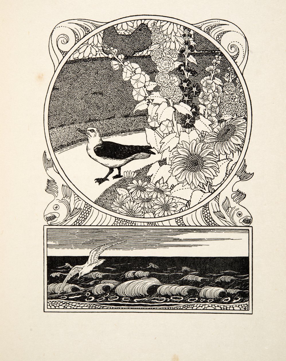 Il gabbiano addomesticato, da A Hundred Anecdotes of Animals, pub. 1924 (incisione) da Percy J. Billingshurst