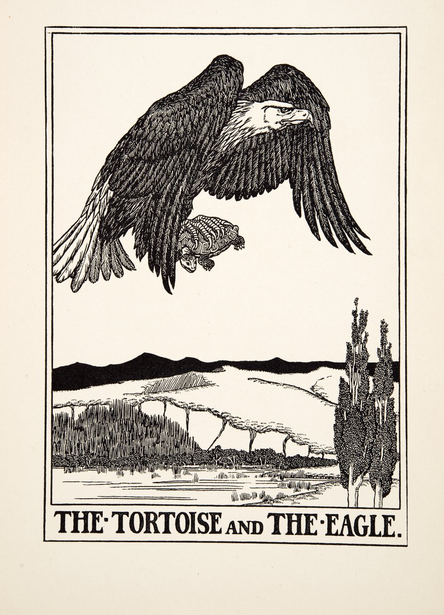 La tartaruga e l