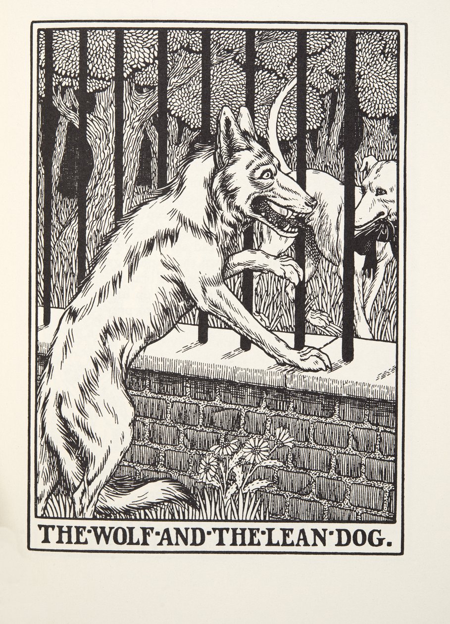 Il lupo e il cane magro, dalle Favole di Fontaine, pub. 1905 (incisione) da Percy J. Billingshurst