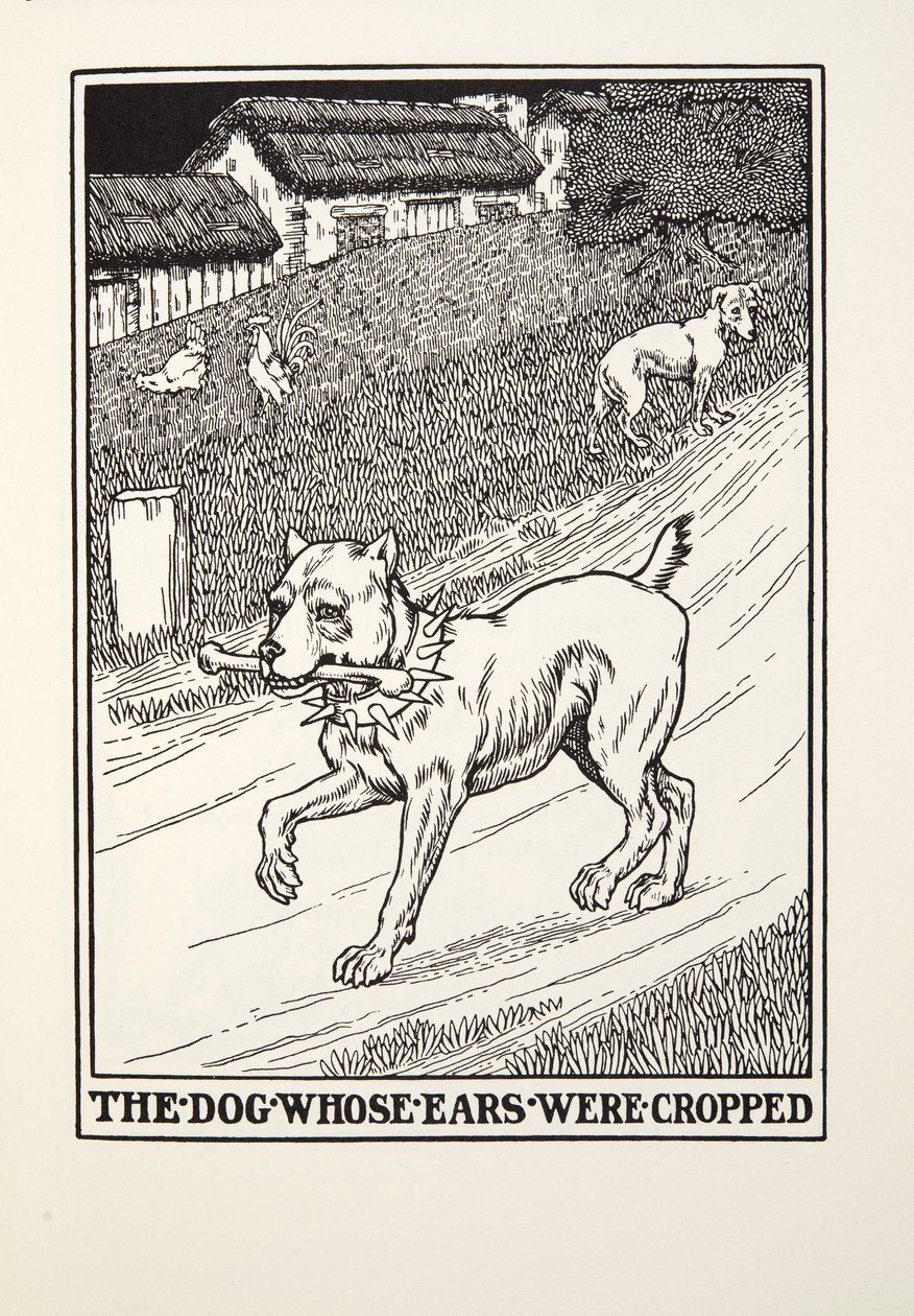 Il cane con le orecchie tagliate, da Fontaine Fables, pub. 1905 da Percy J. Billingshurst