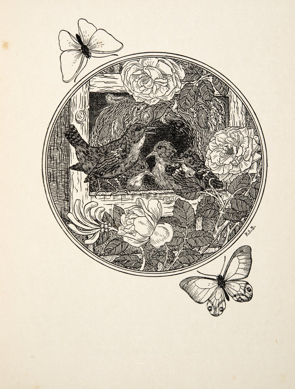 Scriccioli che imparano a cantare, da A Hundred Anecdotes of Animals, pub. 1924 da Percy J. Billingshurst