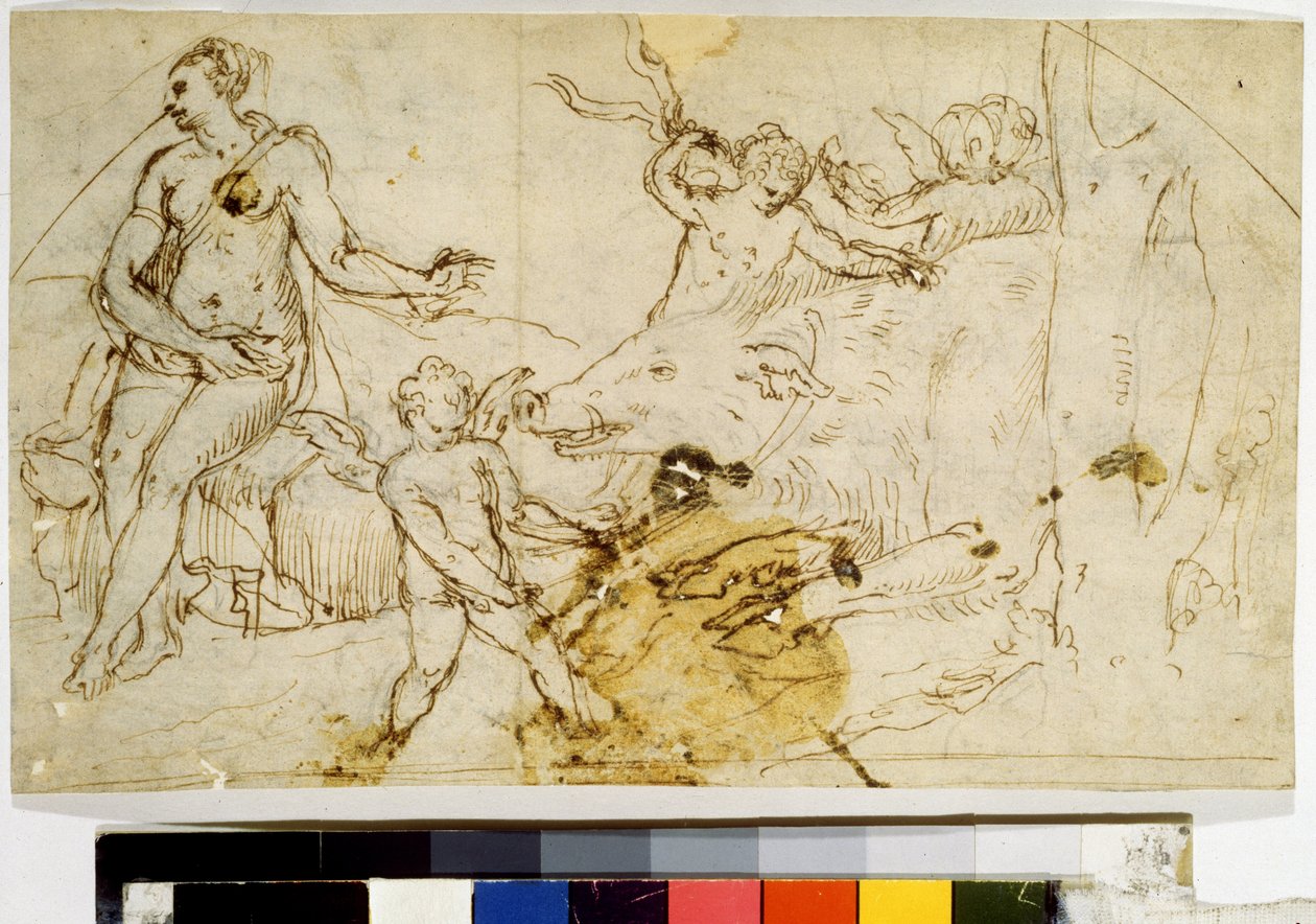  da Perino del (1501-47) Vaga
