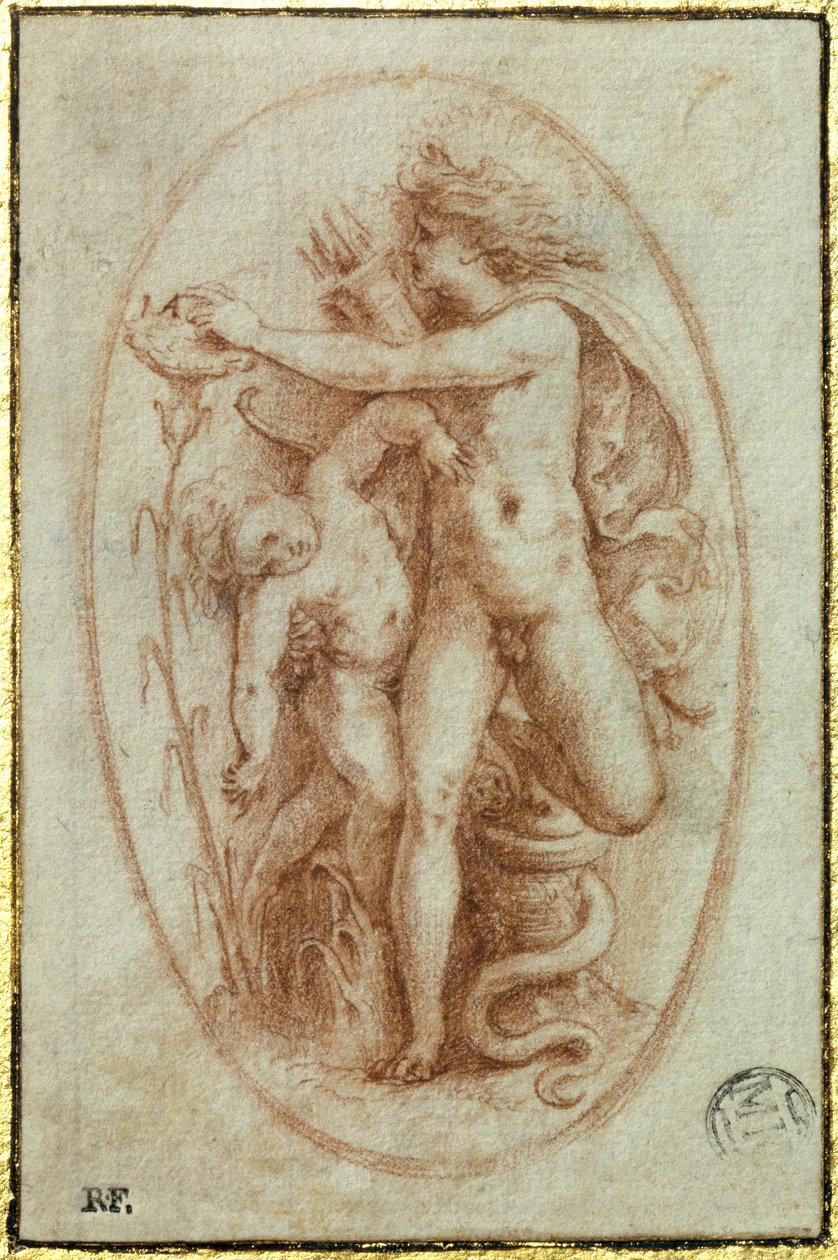 Apollo e Giacinto da Perino del Vaga