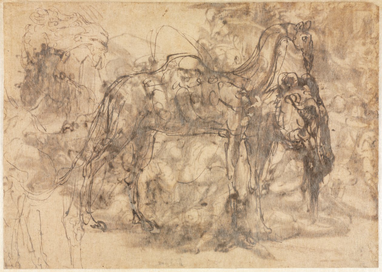 Schizzi di animali, verso, c. 1545-1547 da Perino del Vaga
