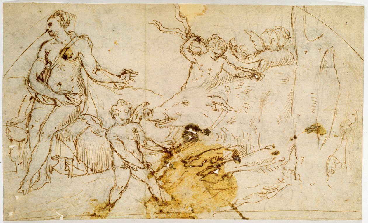 Venere, Putti e un Cinghiale Selvatico, c.1520-1540 da Perino del Vaga
