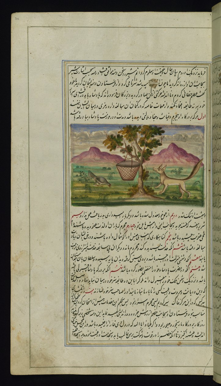 Una volpe e un tamburo da Luci di Canopo da Persian School