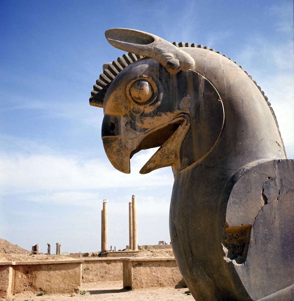 Un grifone, creatura leggendaria metà aquila, metà leone. Colonna dell