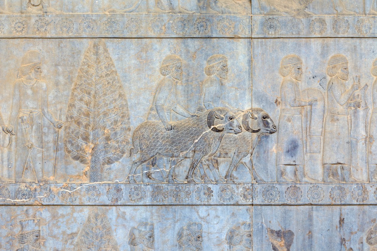 Bassorilievi alle pareti del palazzo Apadana e scala, Persepoli, Iran da Persian School