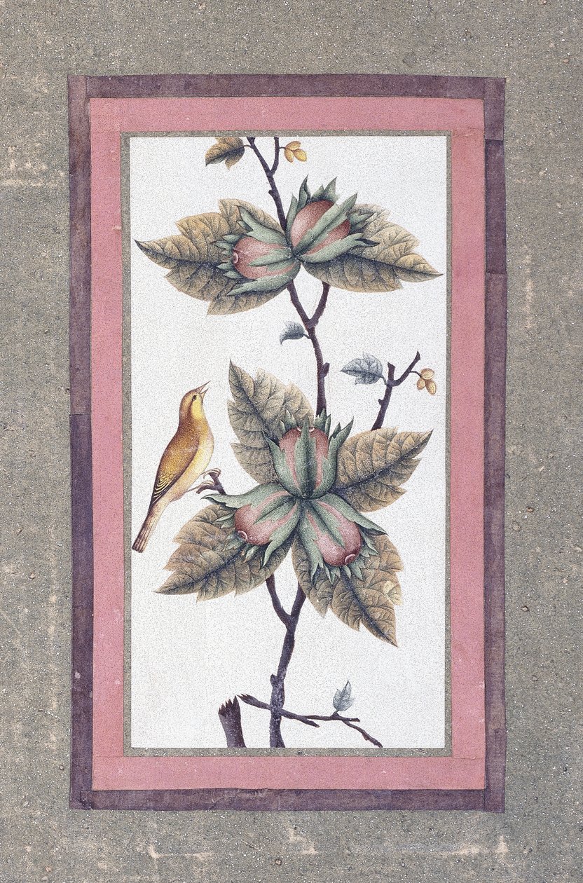 Studio di uccelli e fiori da Persian School