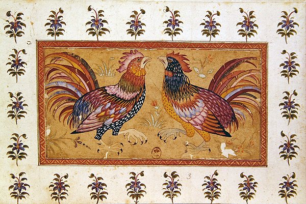 Combattimento di Galli da Persian School