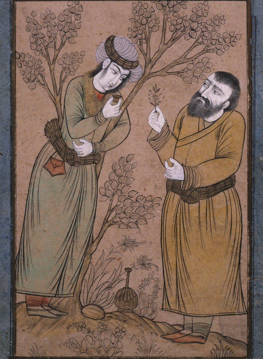 Dottore che dà un rimedio erboristico a un giovane, fine XVII secolo-inizio XVIII secolo da Persian School