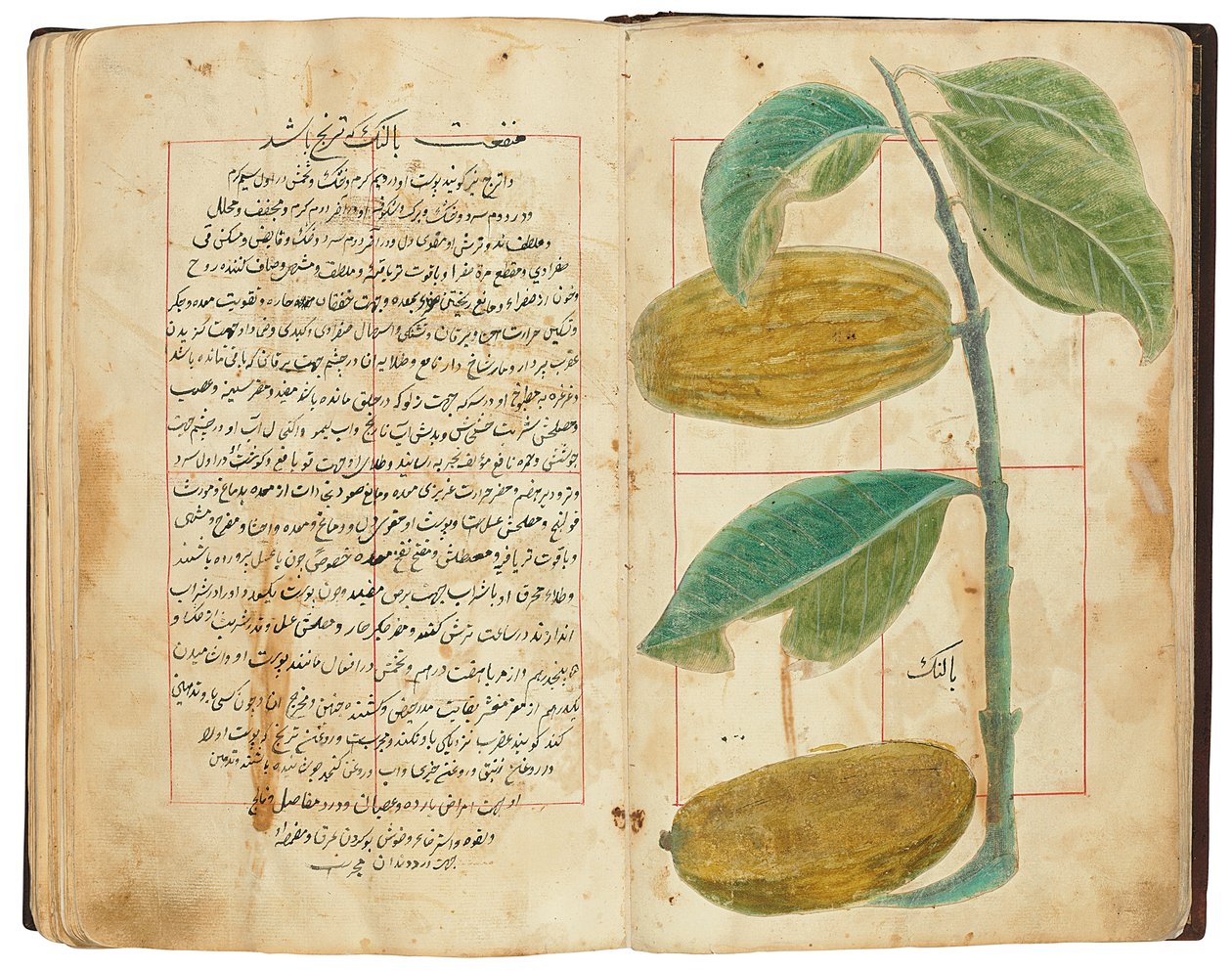 Hassan Bin Baqir Bin Jarrah: Gulzar Al-Rayahin, Qajar Iran da Persian School