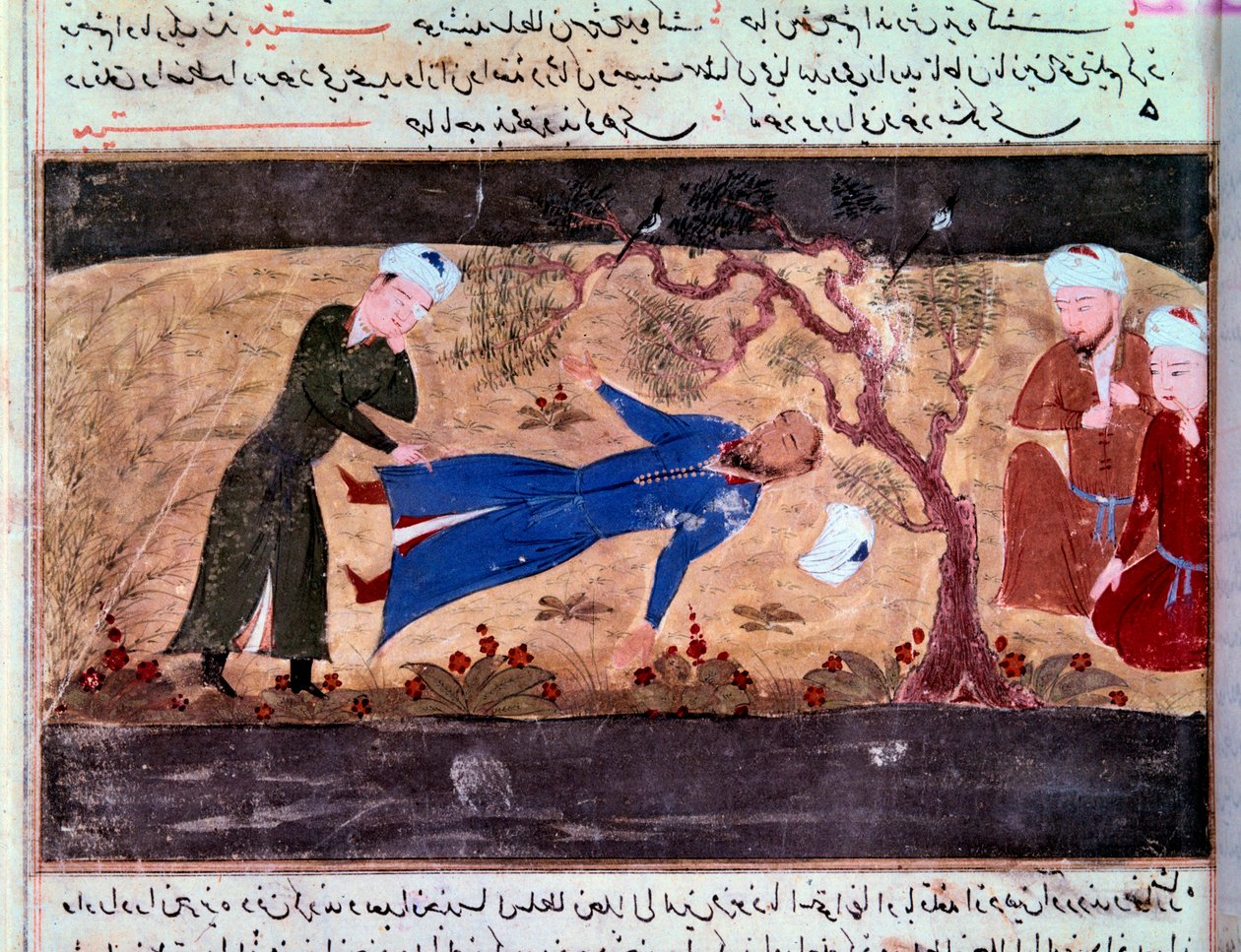 Storia dei Mongoli: La morte di Muhammad Hwarazmshah da Persian School
