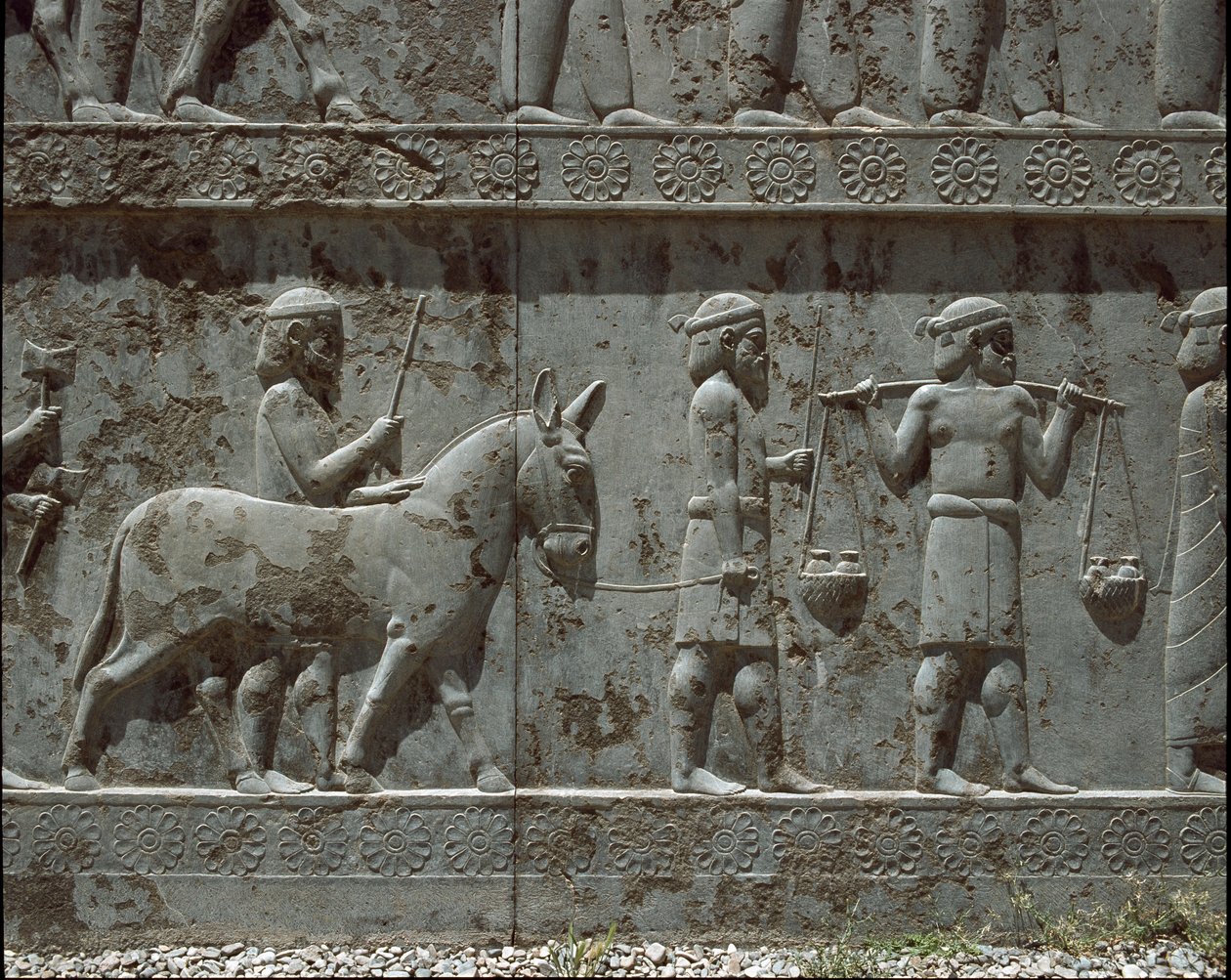 Popoli sottomessi portano doni a Dario I. Bassorilievi della scala orientale dell