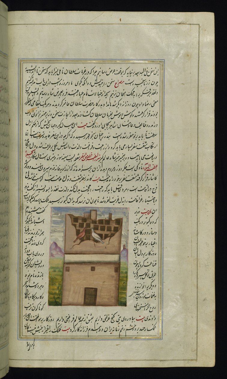 Due piccioni, Bāzandah e Navāzandah da Luci di Canopo da Persian School
