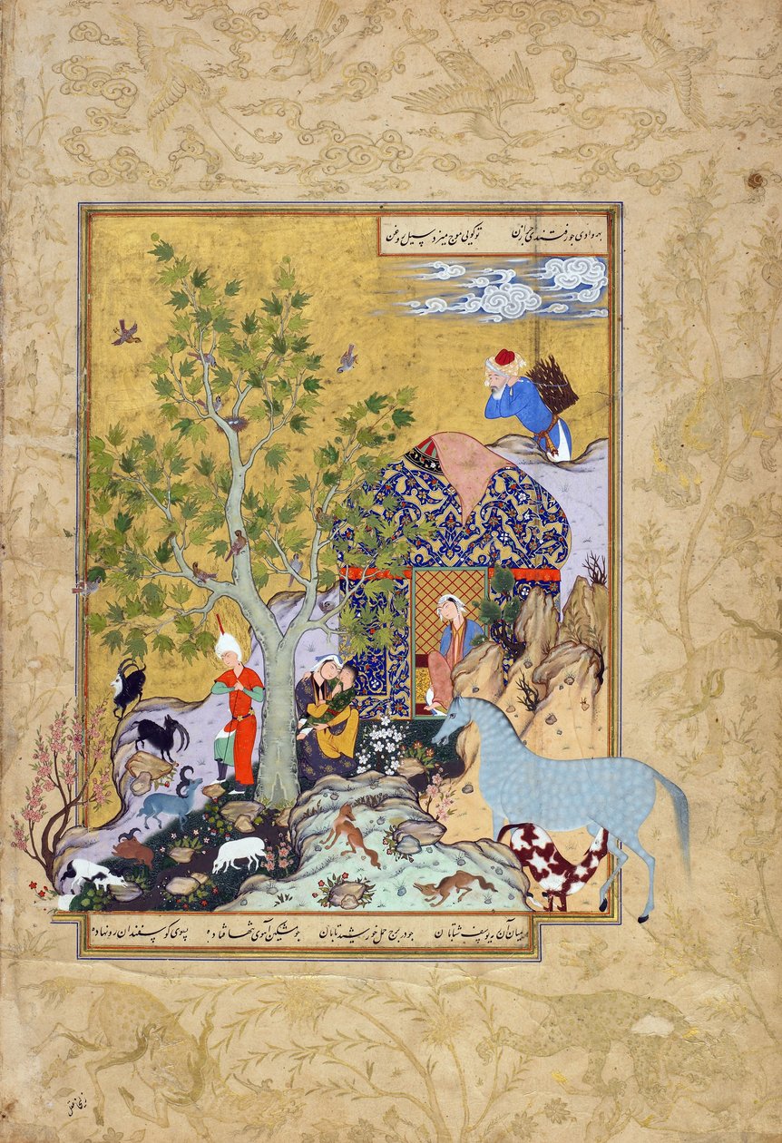 Yusuf cura i suoi greggi, foglio da un Haft awrang (Sette troni) di Jami (m. 1492) probabilmente Mashad, Khurasan, Iran, dinastia Safavide, 1556-1565 da Persian School