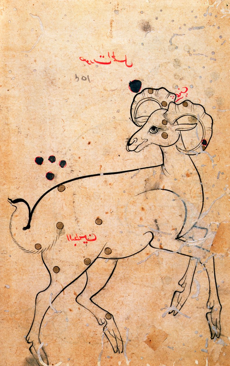Ariete, il montone, persiano, da Isfahan o Shiraz, c.1600 da Persian School