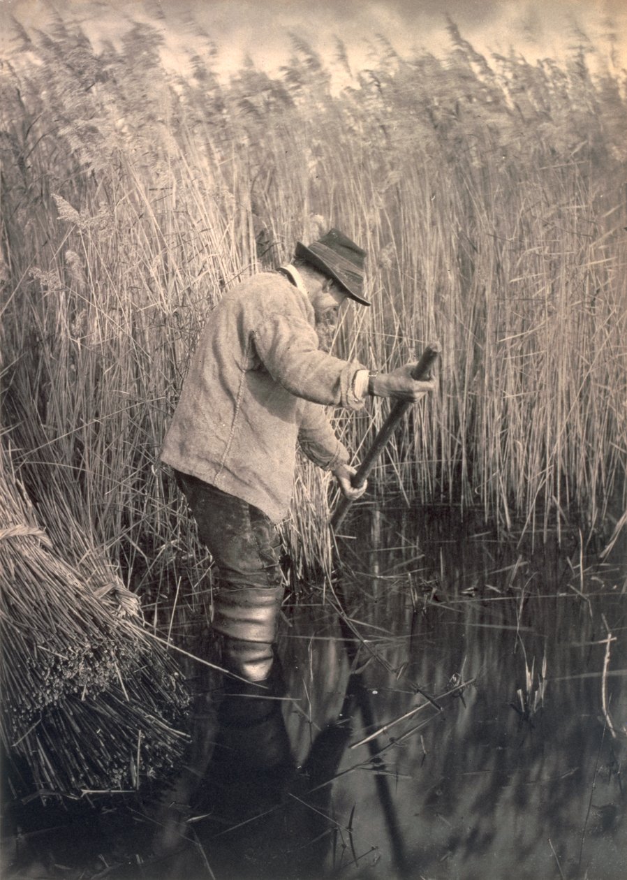 Un tagliatore di canne al lavoro, Vita e paesaggio sui Norfolk Broads, c.1886 da Peter Emerson und Thomas Goodall