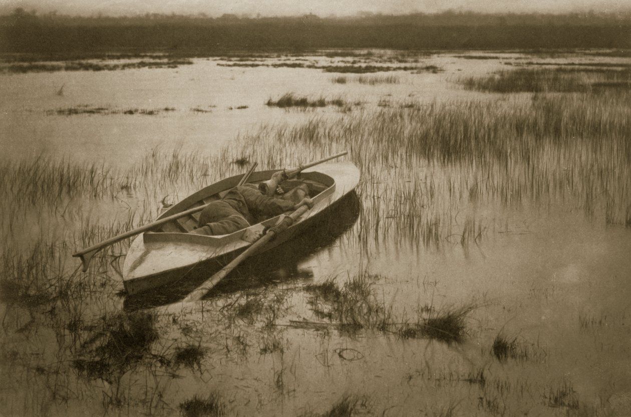 Artigliere che sveglia il pollame, Vita e paesaggio sui Norfolk Broads, c.1886 da Peter Emerson und Thomas Goodall