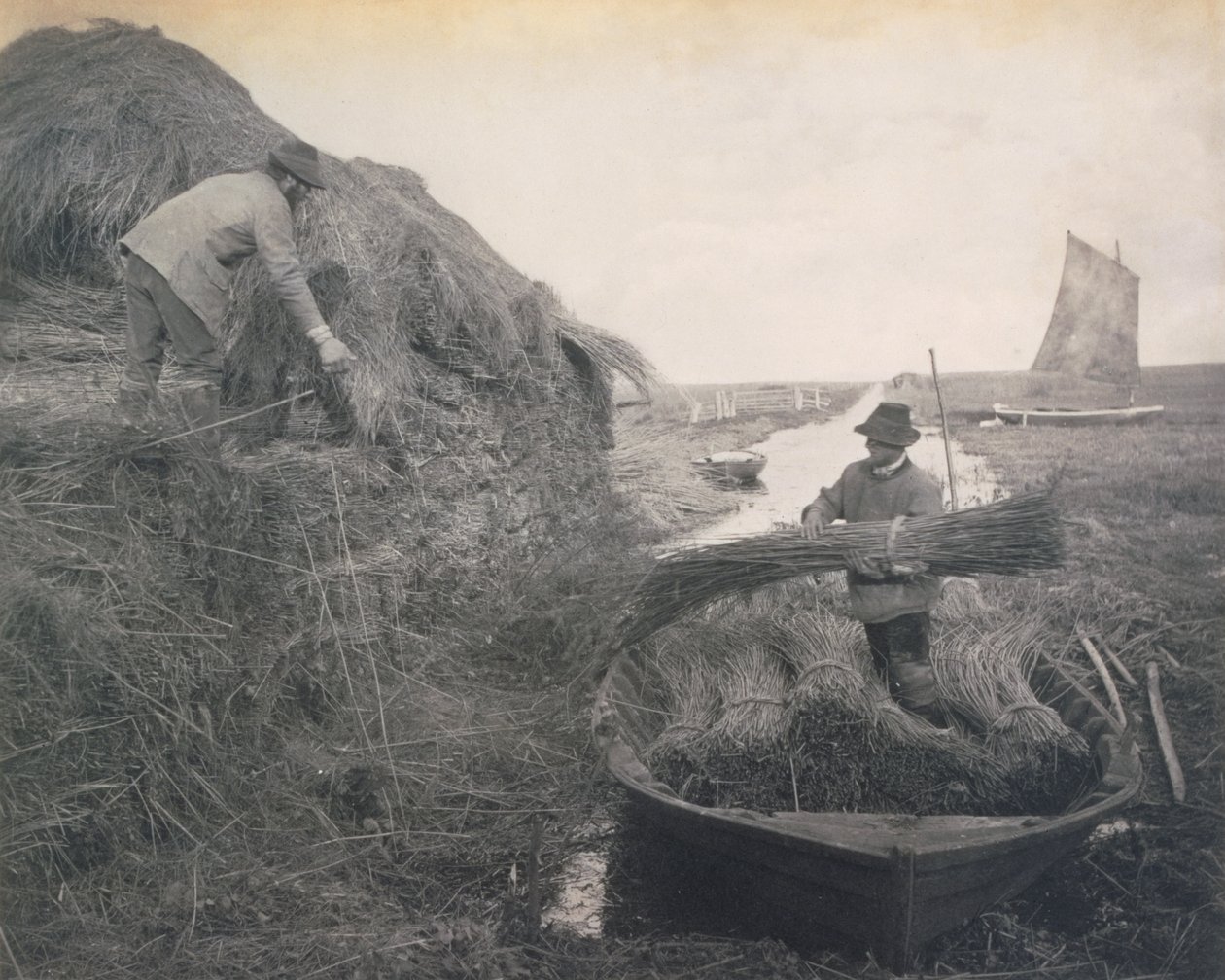 Ricking the Reed, Vita e Paesaggio sui Norfolk Broads, c.1886 da Peter Emerson und Thomas Goodall