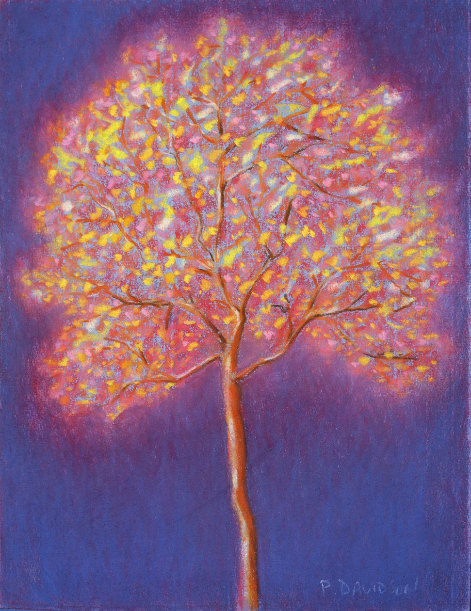 Albero d