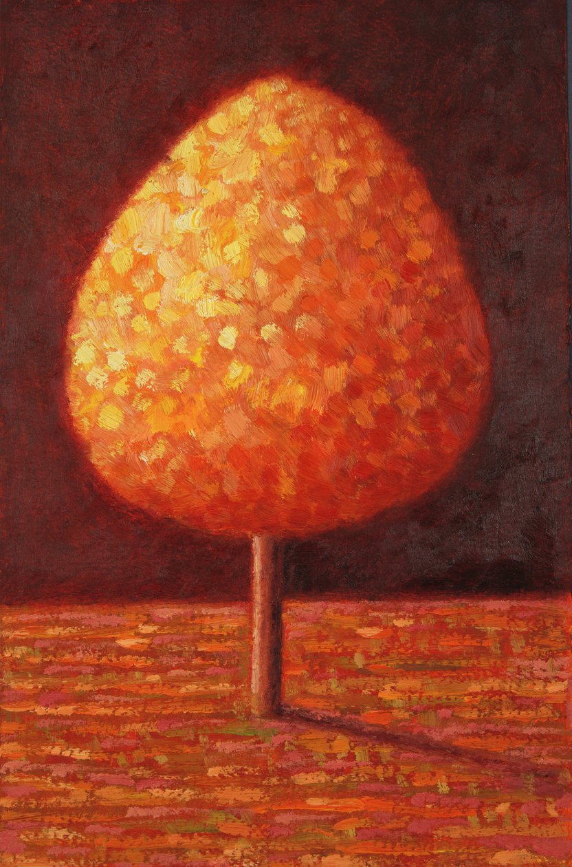 Albero inondato di sole da Peter Davidson