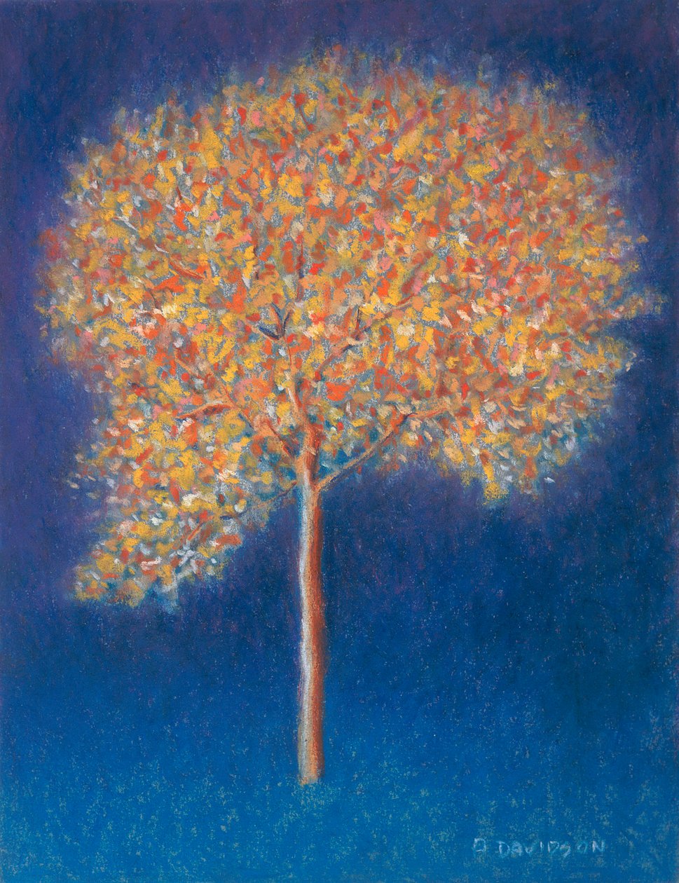 Albero in Fiore, 1997 da Peter Davidson