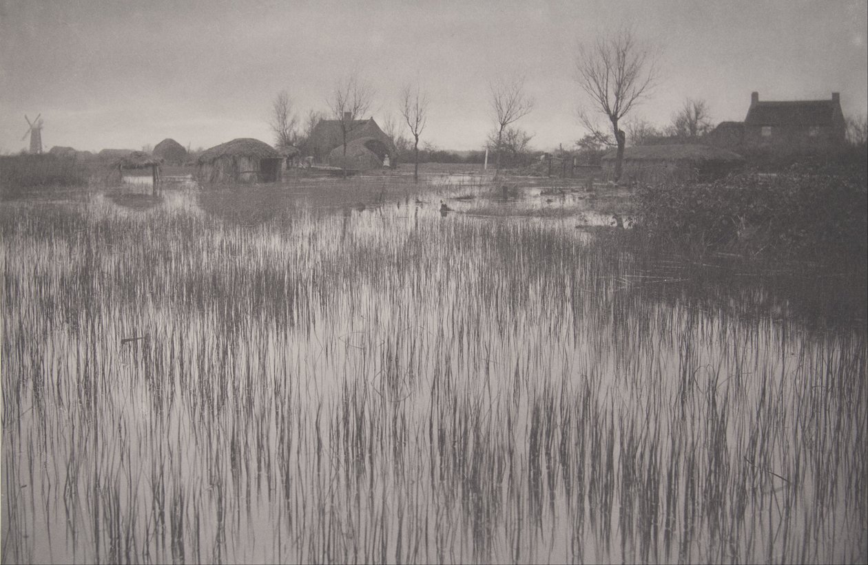 Una riva paludosa, tavola XXXV da Vita e paesaggio sui Norfolk Broads da Peter Henry Emerson