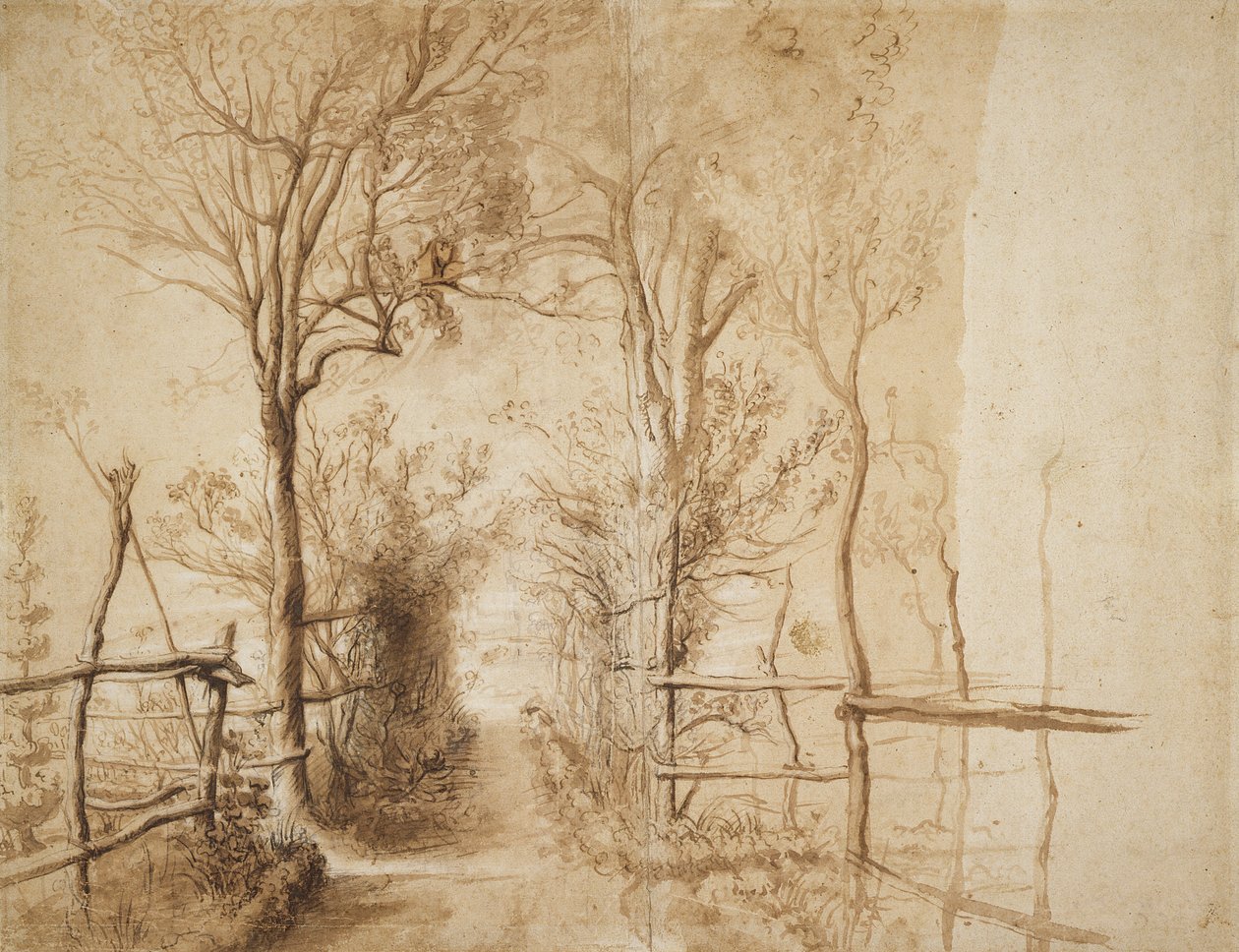Un Sentiero Bordato di Alberi da Peter Paul Rubens
