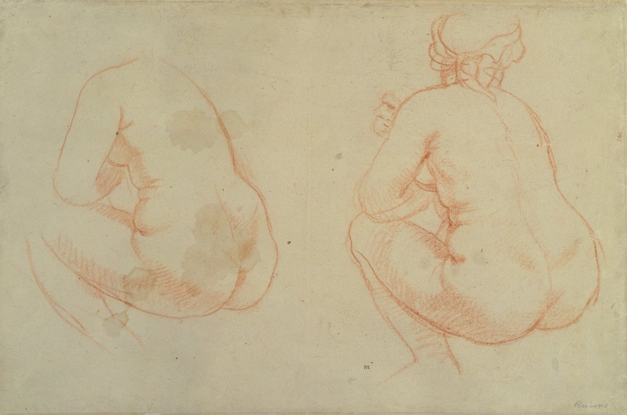 Studi di nudi femminili da Peter Paul Rubens