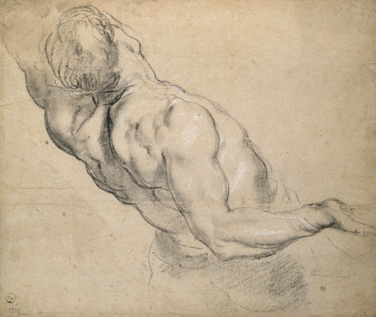 Studio di un torso maschile nudo da Peter Paul Rubens