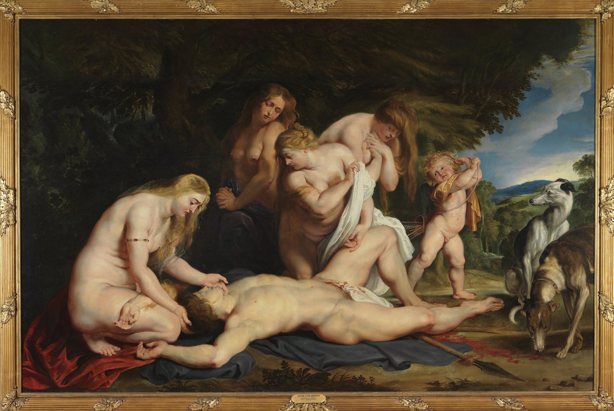 La morte di Adone (con Venere, Cupido e le Tre Grazie) da Peter Paul Rubens