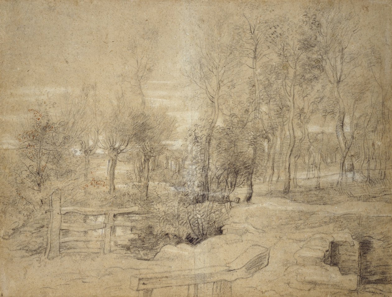 Scena boschiva da Peter Paul Rubens